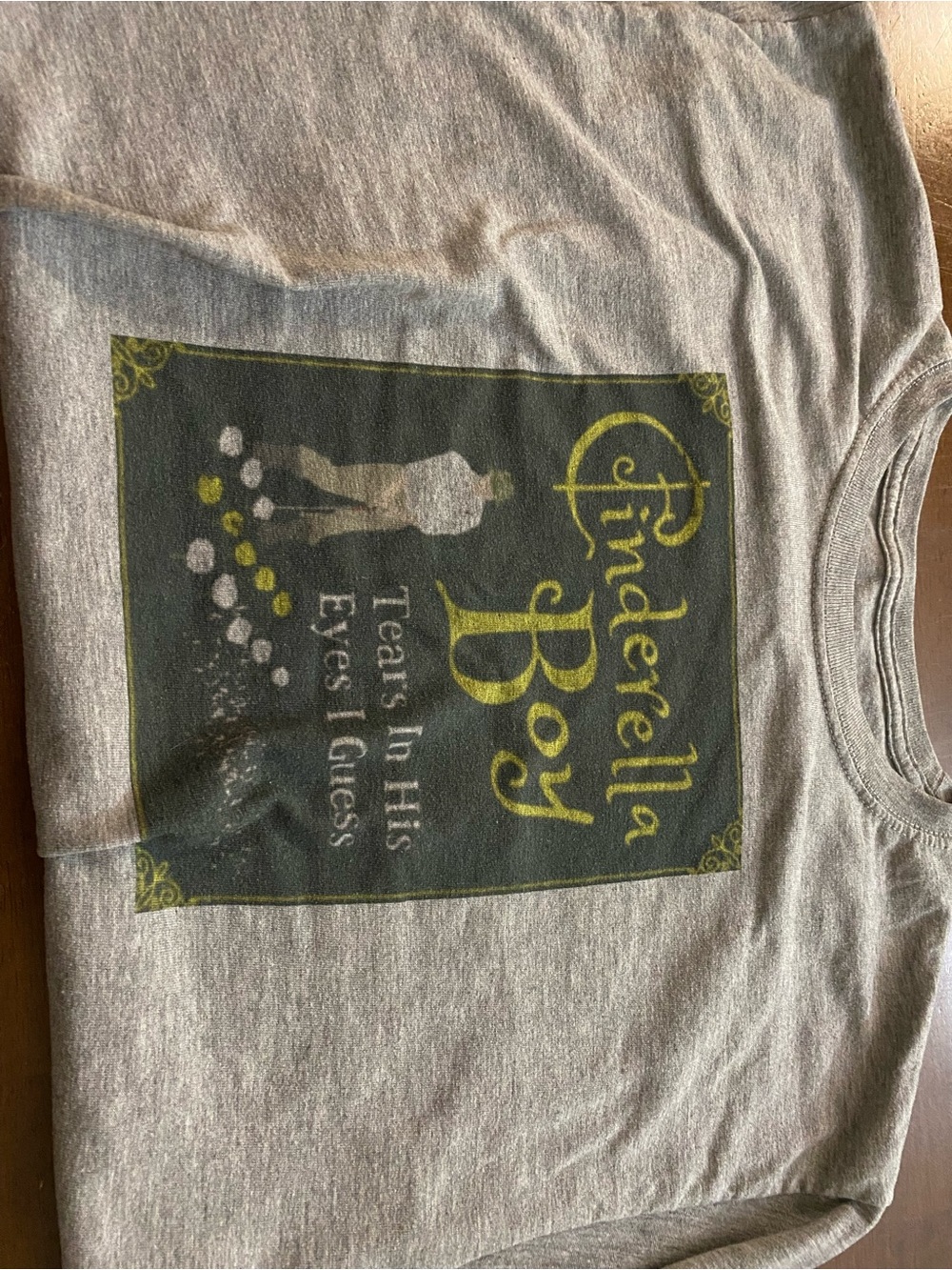 Cinderella Boy Graphic T-Shirt - Gray